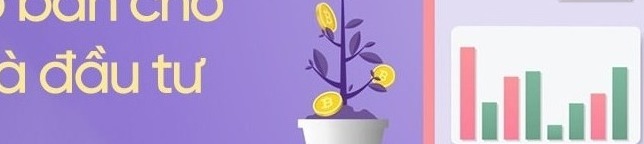 Các Chỉ Số Cơ Bản Trong Chứng Khoán Cho Người Mới: Hướng Dẫn Chi Tiết & So Sánh An Toàn 2026