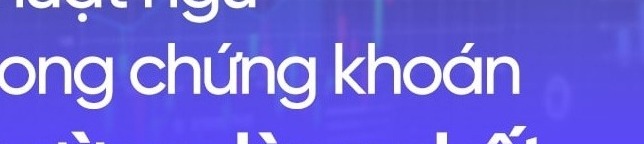 Tổng Hợp Các Thuật Ngữ Trong Chứng Khoán Mà Nhà Đầu Tư Cần Biết: Hướng Dẫn Chi Tiết & So Sánh An Toàn 2026