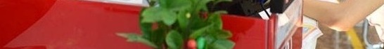 Mẹo Giúp Lựa Chọn Khoản Vay Tín Chấp Ngân Hàng Nào Tốt Nhất: Hướng Dẫn Chi Tiết & So Sánh An Toàn 2026