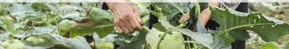 Tổng Hợp Những Thông Tin Cần Nắm Khi Vay Tiền Nhanh Tại Hải Dương: Hướng Dẫn Chi Tiết & So Sánh An Toàn 2026