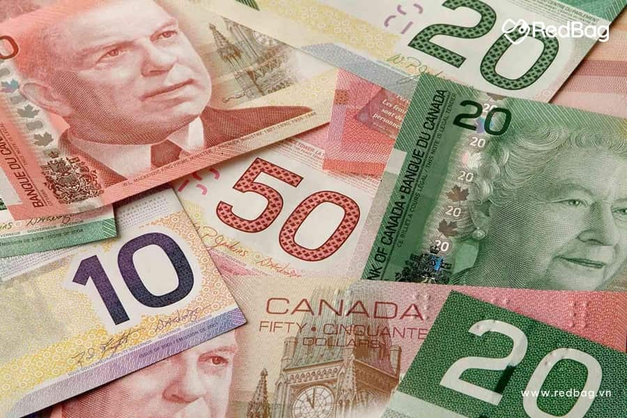 Hình ảnh hướng dẫn quy trình Tiền Canada đổi ra tiền việt: Cách tính & Địa chỉ đổi giá cao online 2026 - Bệnh Viện Chữ Thập Xanh