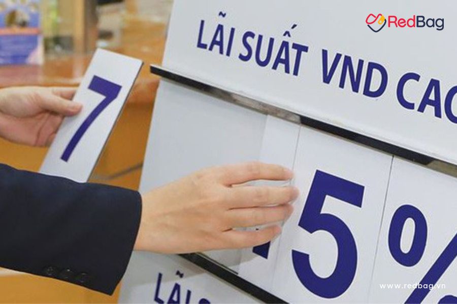 Vay 10 Triệu Lãi Suất Bao Nhiêu 1 Tháng?: Hướng Dẫn Chi Tiết & So Sánh An Toàn 2026